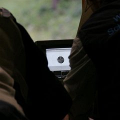 LM-Ordonnanzgewehr2012-033